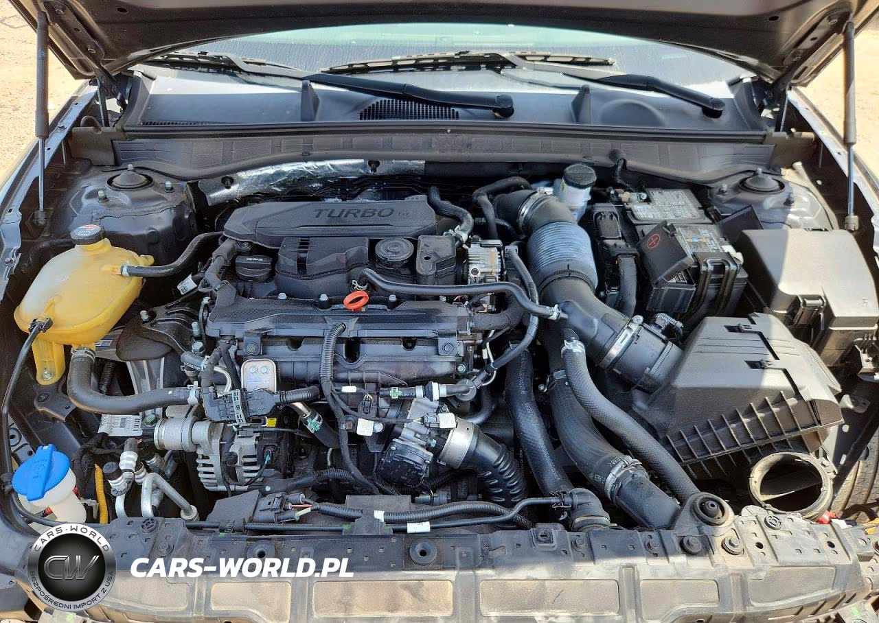 2021 Hyundai Sonata Sel Plus VIN:5NPEJ4J20MH123817 - 11
