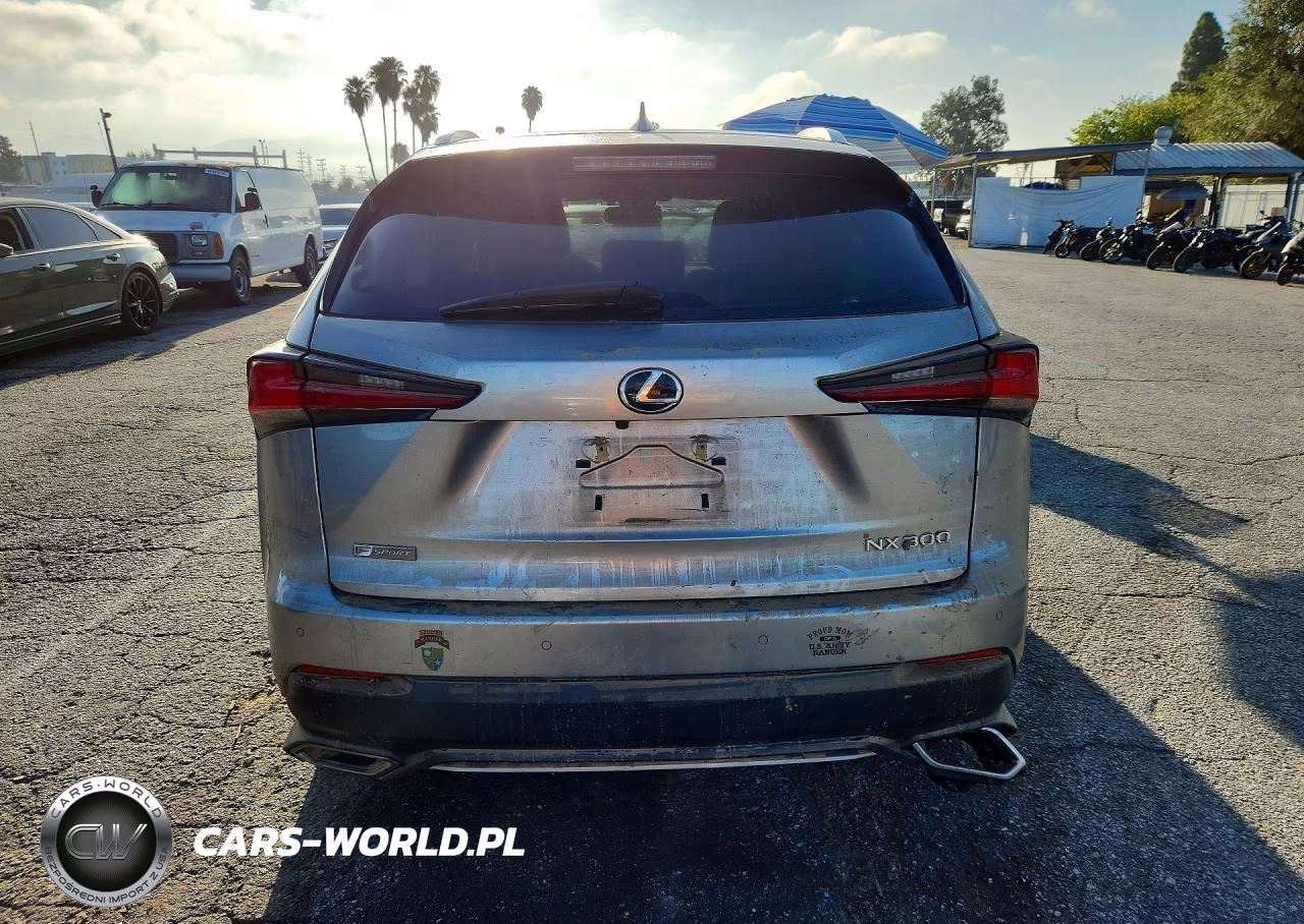 2018 Lexus Nx 300 F Sport VIN:JTJYARBZ1J2092884 - 6