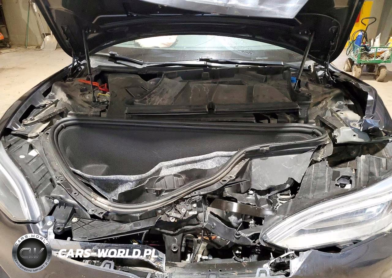 2017 Tesla Model S VIN:5YJSA1E25HF199016 - 11
