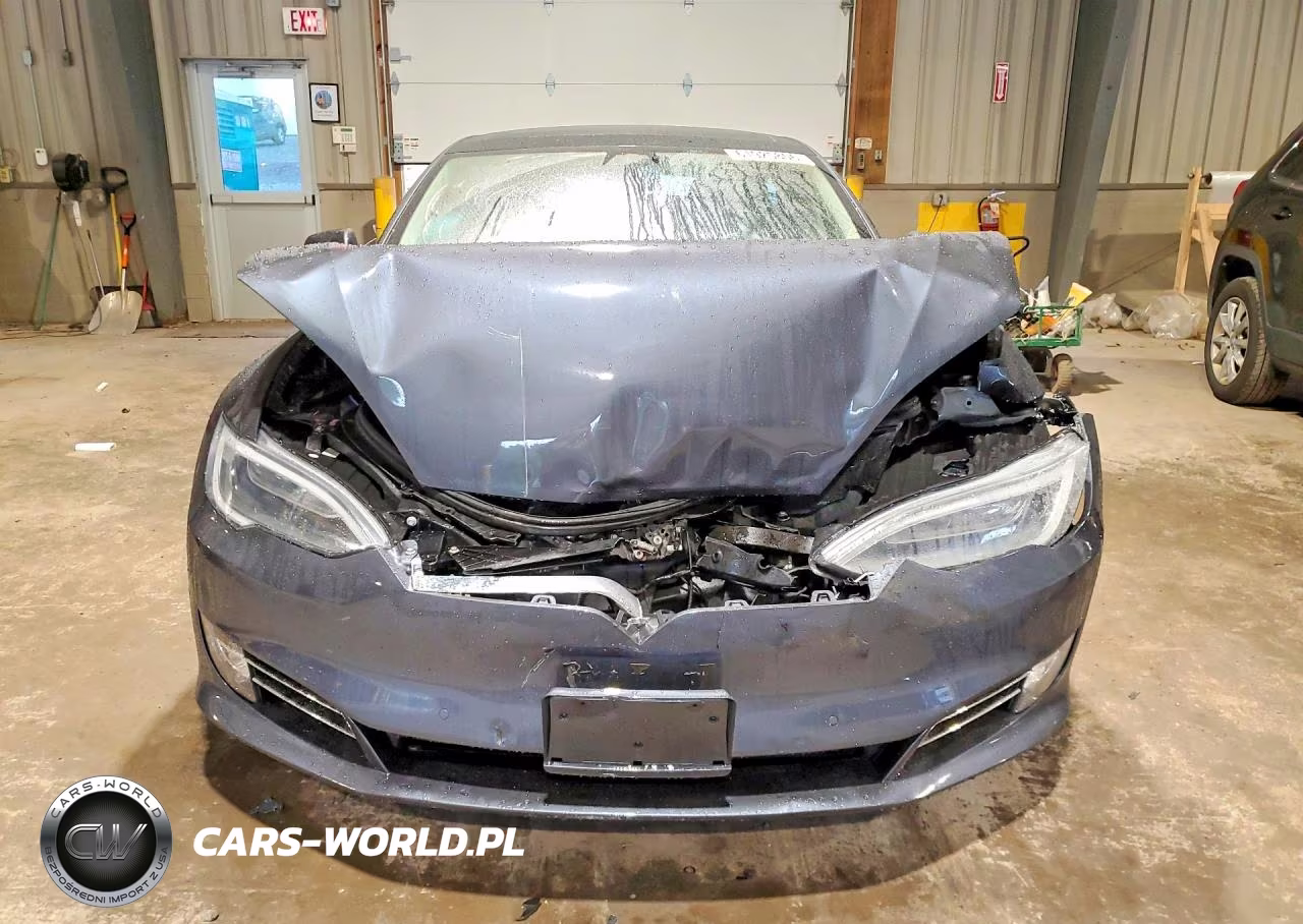 2017 Tesla Model S VIN:5YJSA1E25HF199016 - 5