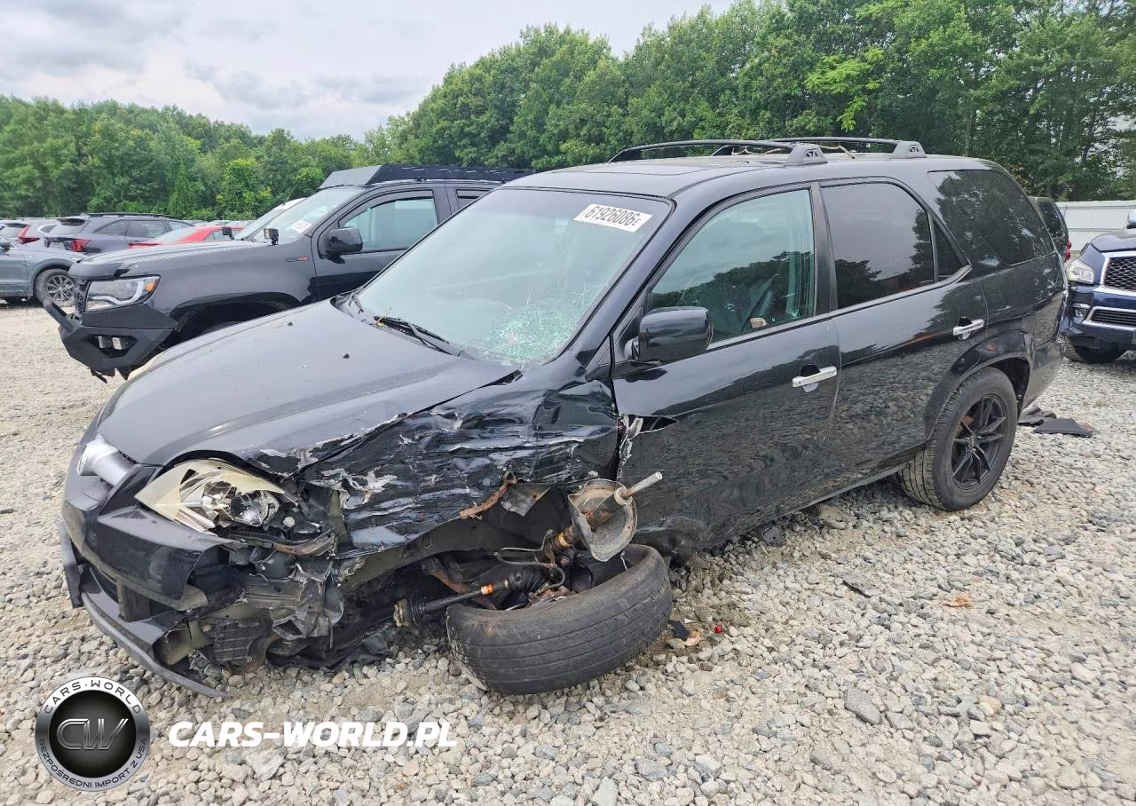 2004 Acura Mdx Touring VIN:2HNYD18954H533862 - 1