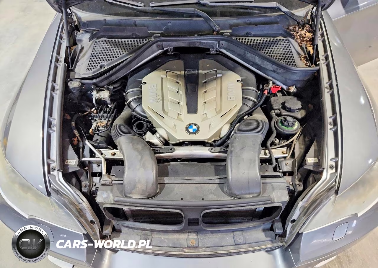 2010 BMW X6 xDrive50I VIN:5UXFG8C5XALZ94652 - 12