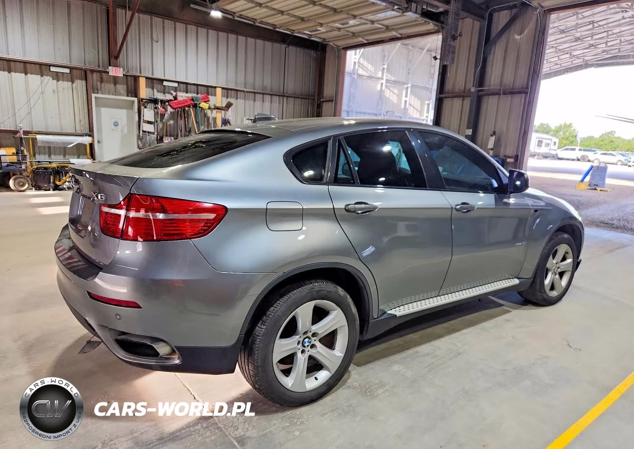 2010 BMW X6 xDrive50I VIN:5UXFG8C5XALZ94652 - 3