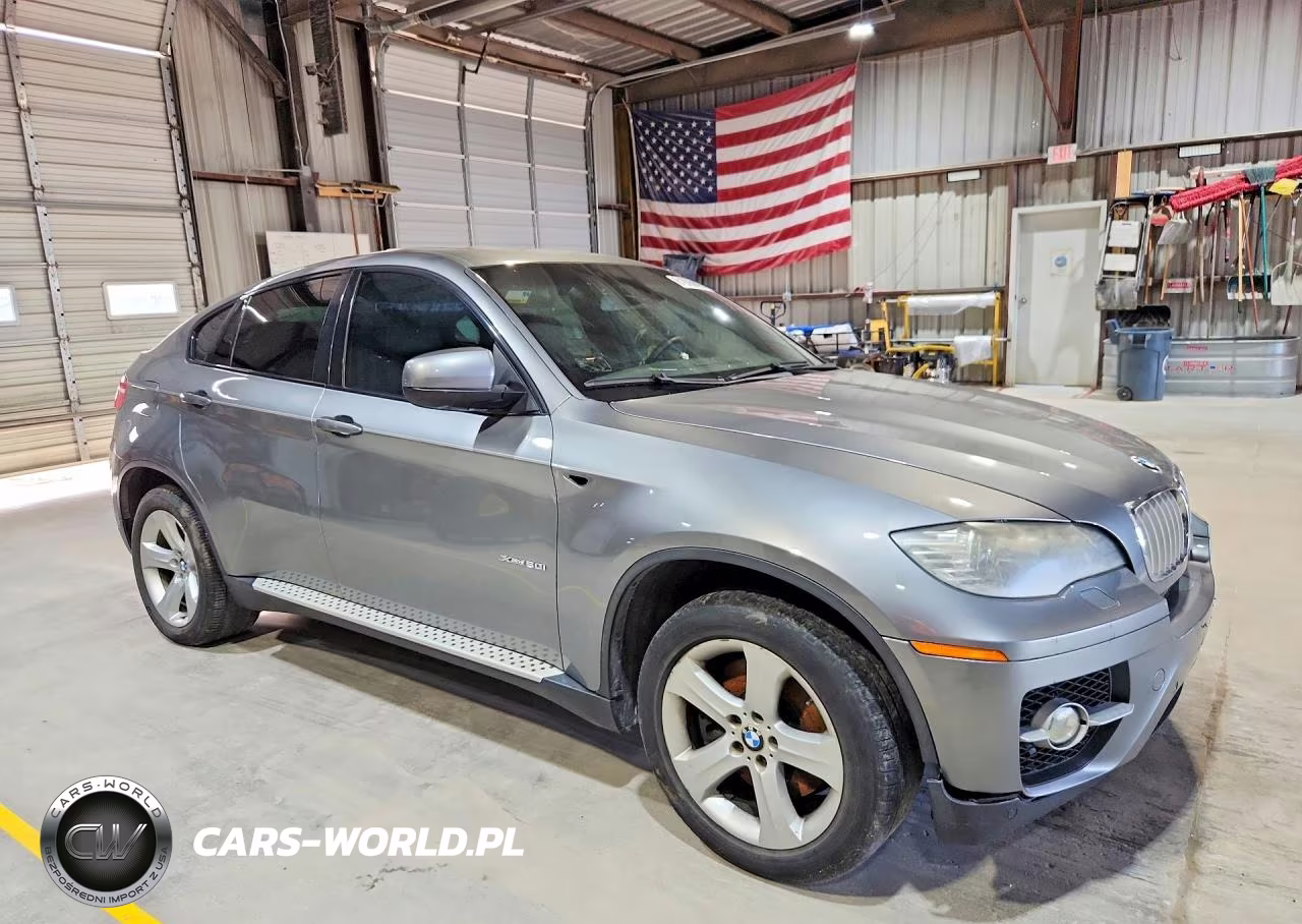 2010 BMW X6 xDrive50I VIN:5UXFG8C5XALZ94652 - 4