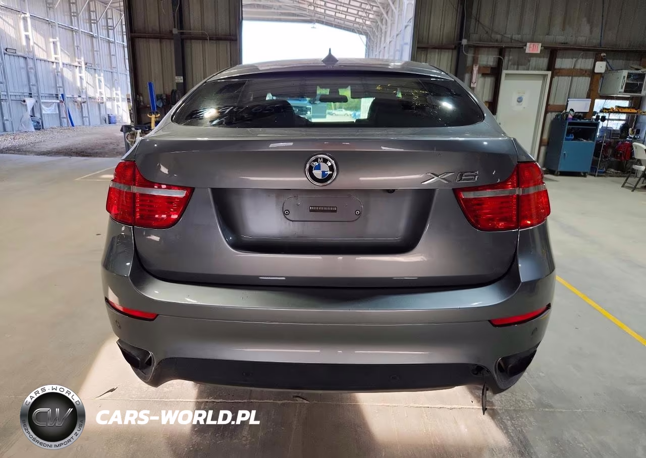 2010 BMW X6 xDrive50I VIN:5UXFG8C5XALZ94652 - 6