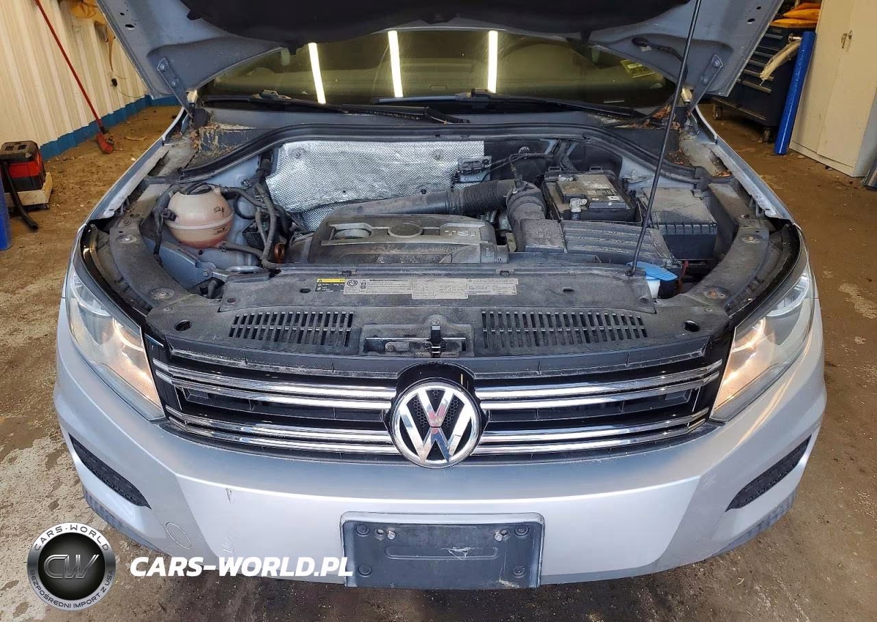 2013 Volkswagen Tiguan S VIN:WVGBV3AX2DW578185 - 12