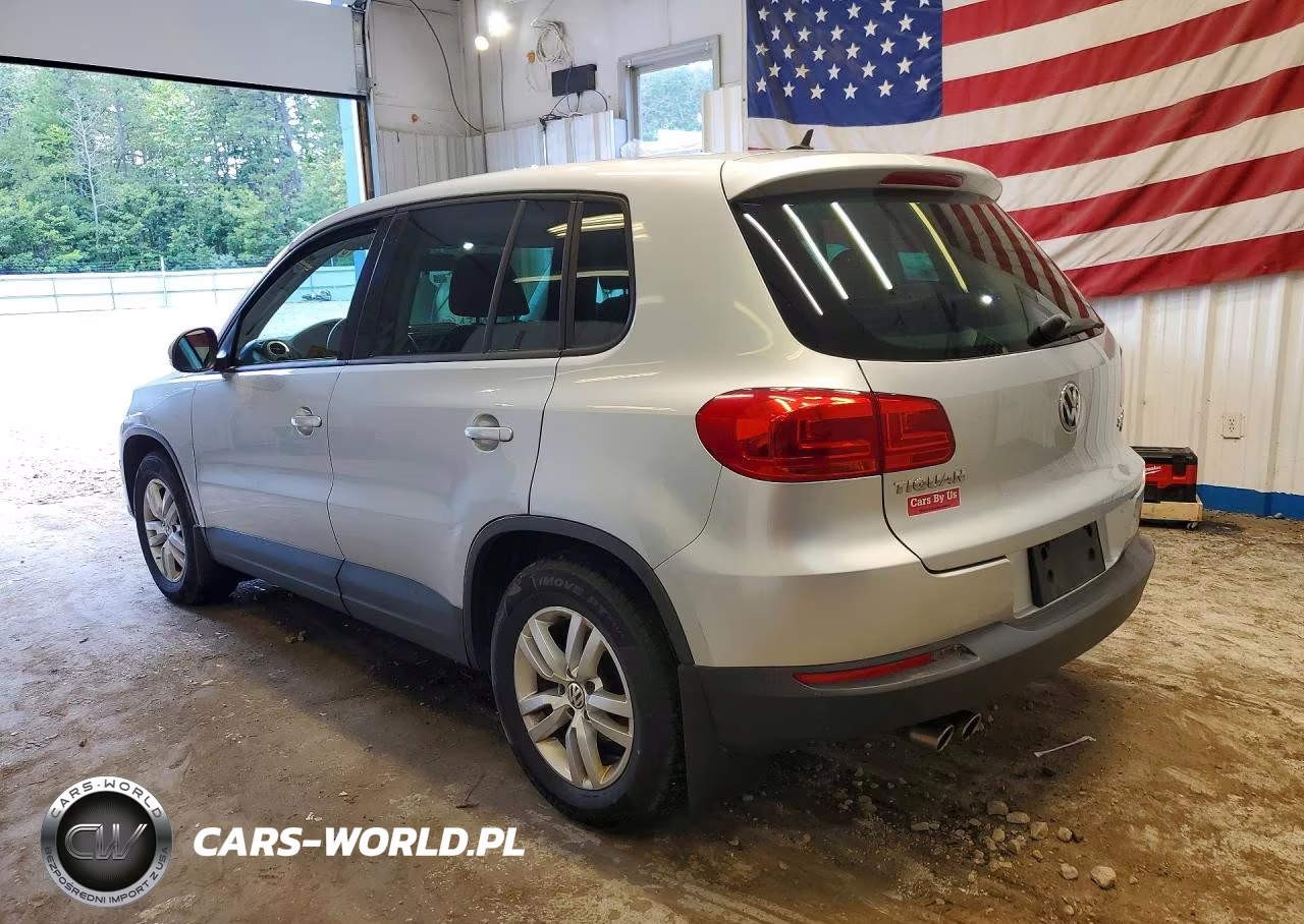 2013 Volkswagen Tiguan S VIN:WVGBV3AX2DW578185 - 2