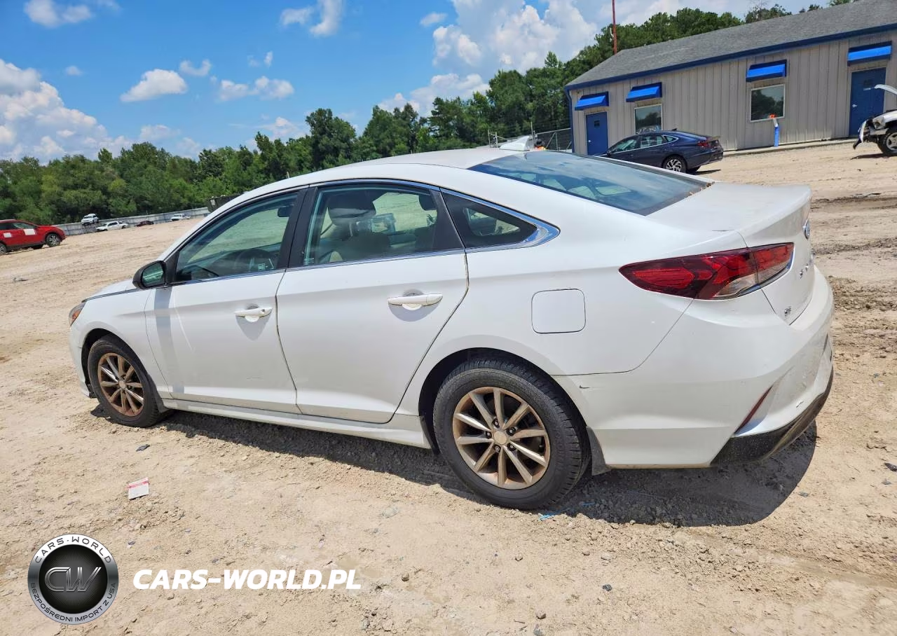 2019 Hyundai Sonata Se VIN:5NPE24AF7KH814355 - 2