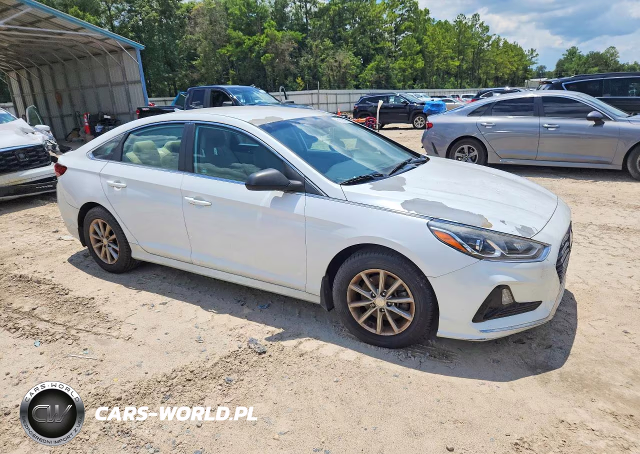 2019 Hyundai Sonata Se VIN:5NPE24AF7KH814355 - 4