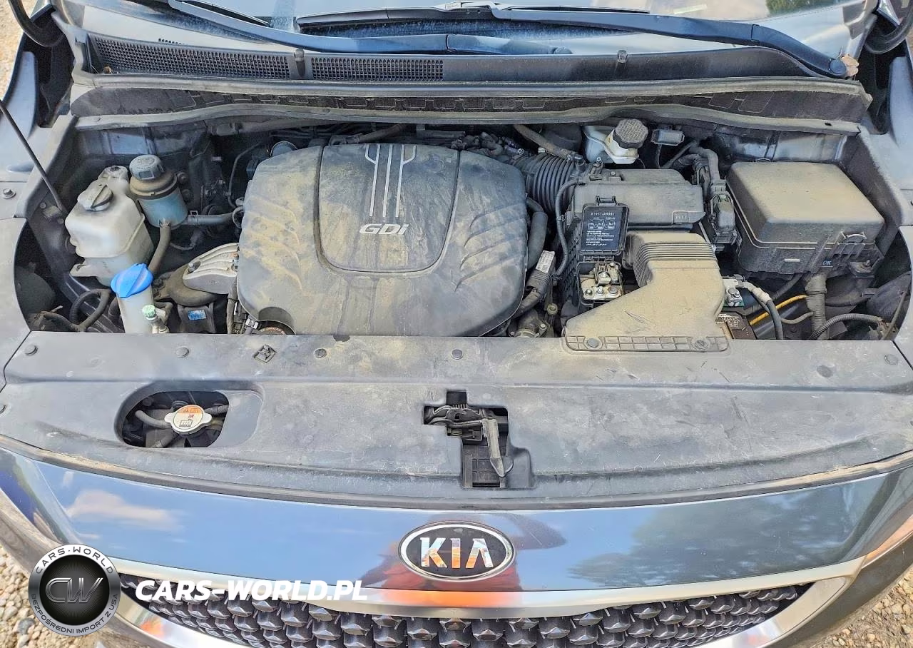 2017 Kia Sedona Lx VIN:KNDMB5C1XH6332081 - 12