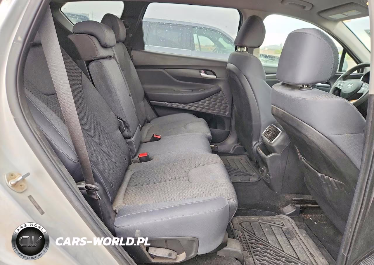 2019 Hyundai Santa Fe Sel 2.4L VIN:5NMS3CADXKH052287 - 10