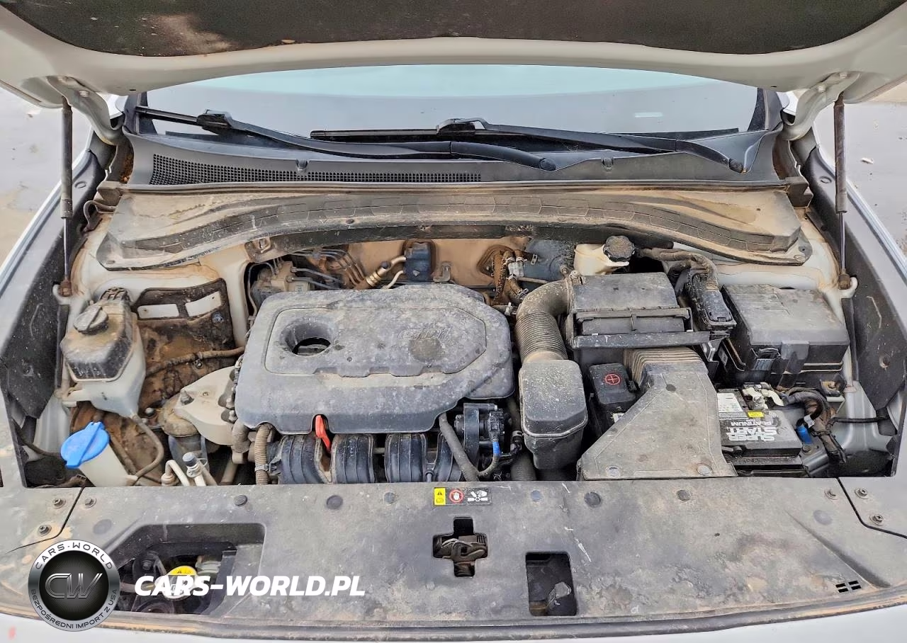 2019 Hyundai Santa Fe Sel 2.4L VIN:5NMS3CADXKH052287 - 11