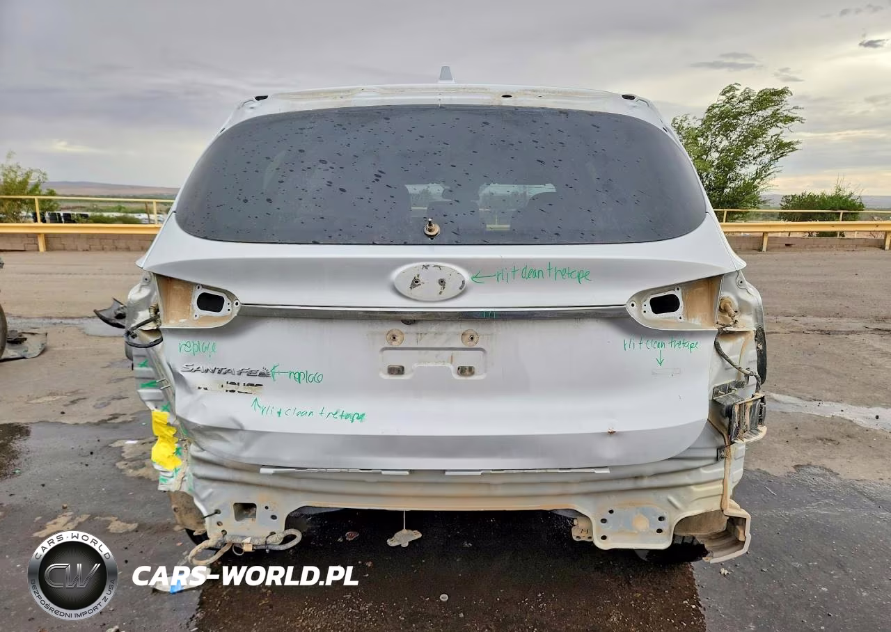2019 Hyundai Santa Fe Sel 2.4L VIN:5NMS3CADXKH052287 - 6