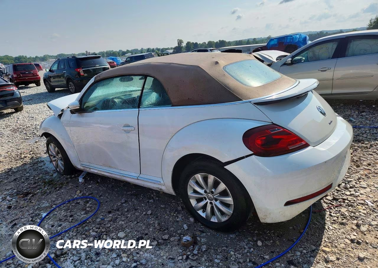 2019 Volkswagen Beetle S VIN:3VW5DAAT1KM509603 - 2