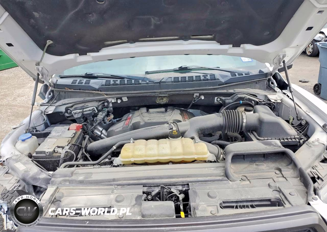 2019 Ford F150 Raptor VIN:1FTFW1RG9KFD17791 - 11