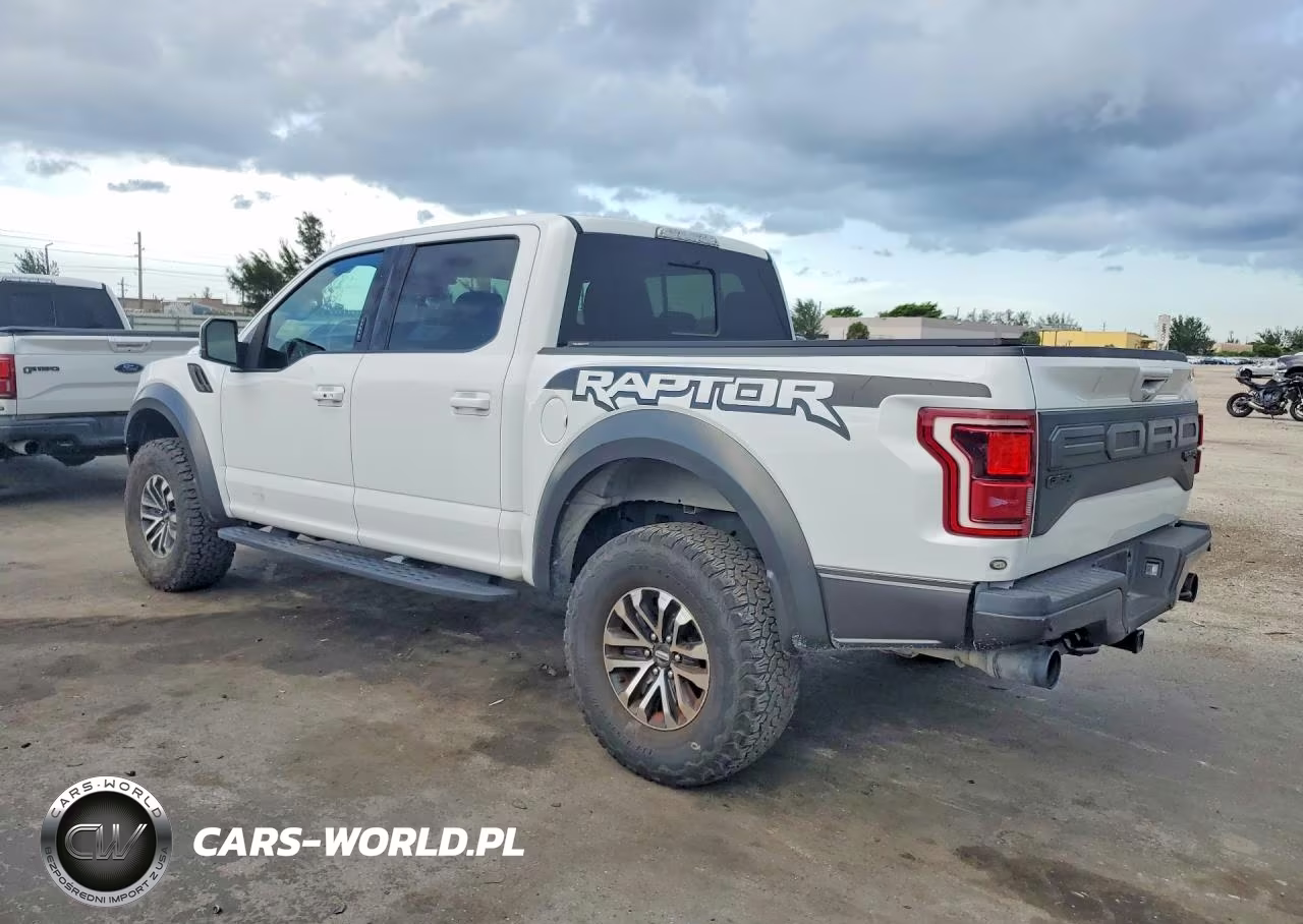 2019 Ford F150 Raptor VIN:1FTFW1RG9KFD17791 - 2