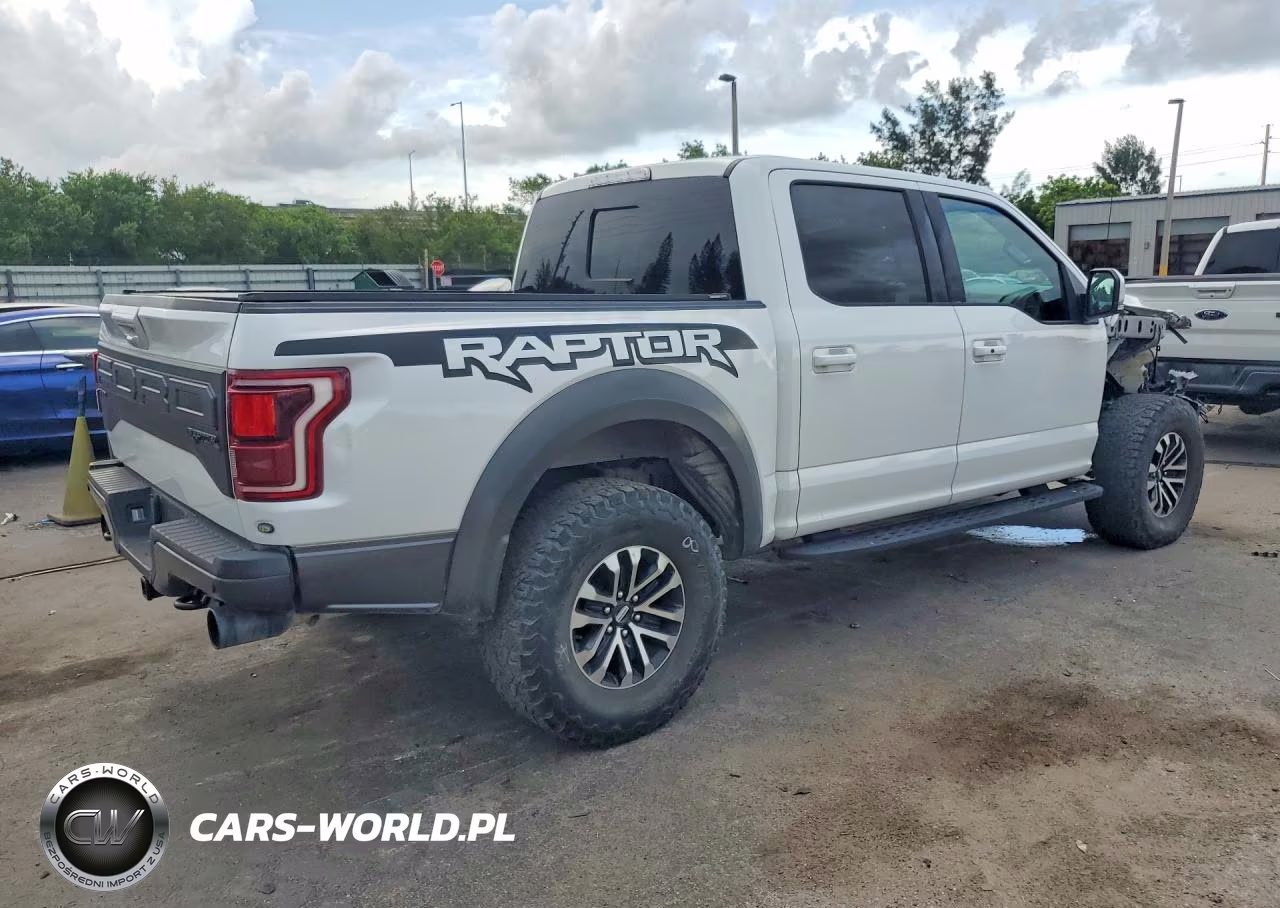 2019 Ford F150 Raptor VIN:1FTFW1RG9KFD17791 - 3