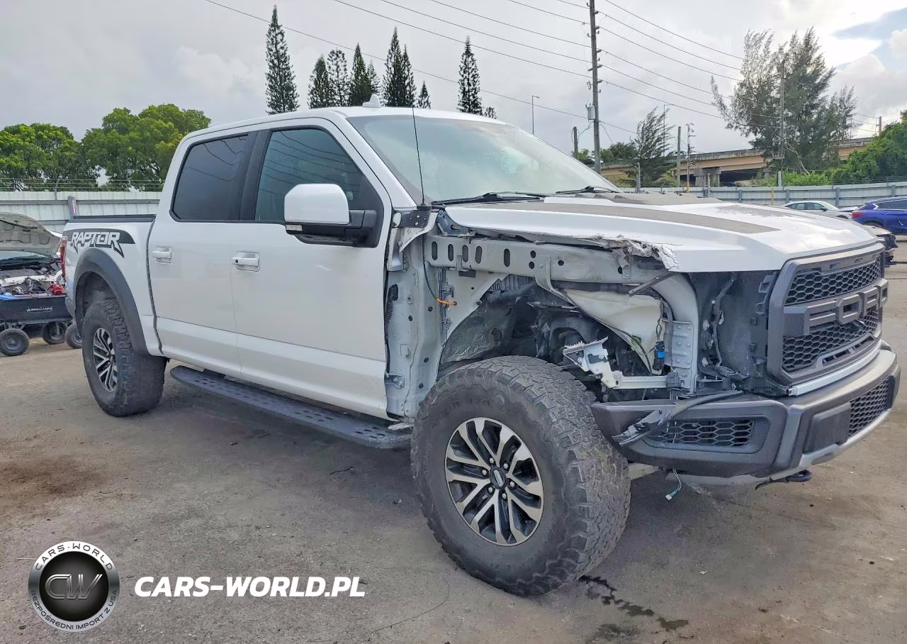 2019 Ford F150 Raptor VIN:1FTFW1RG9KFD17791 - 4