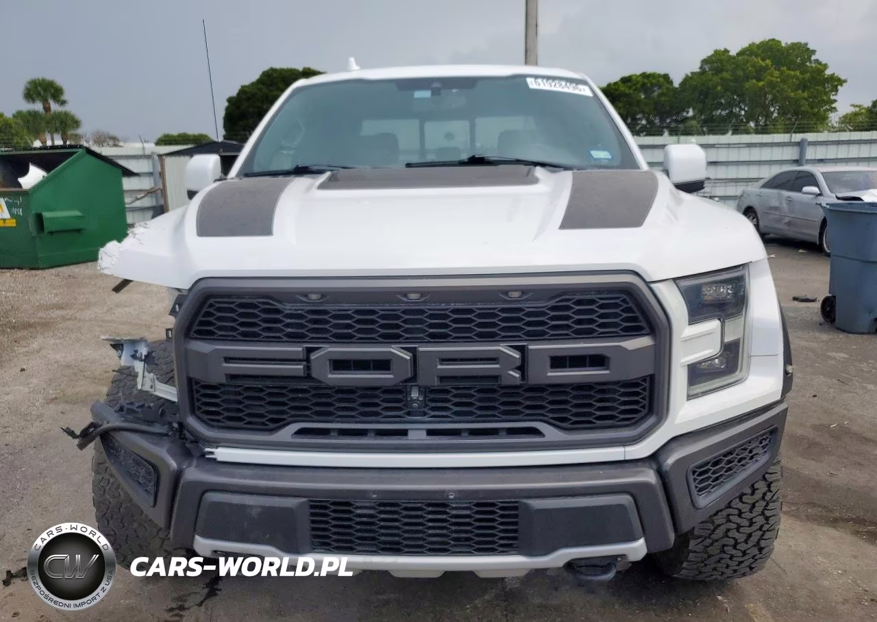 2019 Ford F150 Raptor VIN:1FTFW1RG9KFD17791 - 5