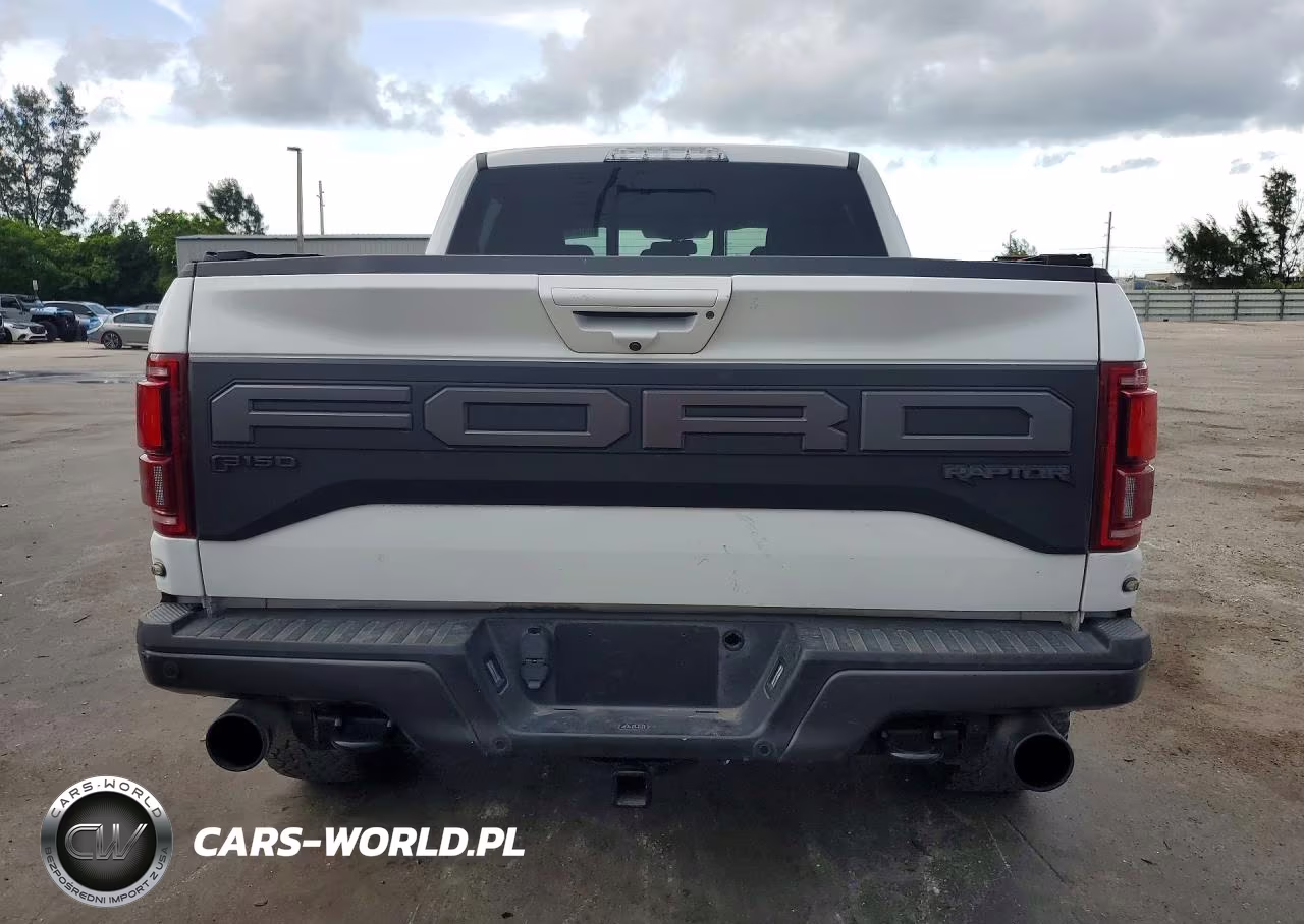2019 Ford F150 Raptor VIN:1FTFW1RG9KFD17791 - 6