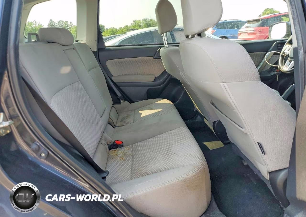 2017 Subaru Forester 2.5I Premium VIN:JF2SJAEC9HH469231 - 10