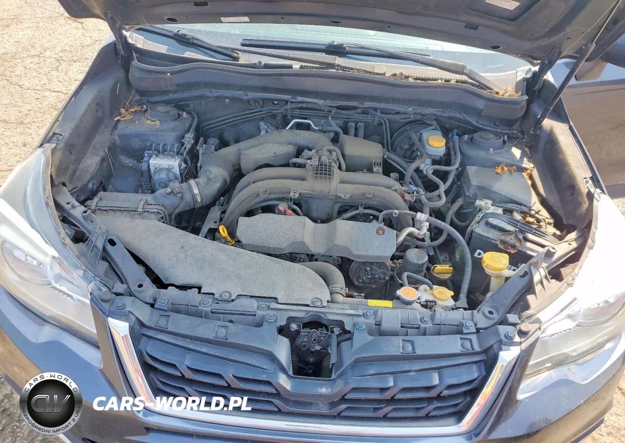 2017 Subaru Forester 2.5I Premium VIN:JF2SJAEC9HH469231 - 11