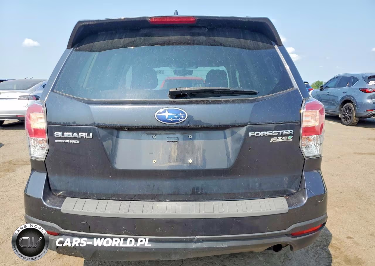2017 Subaru Forester 2.5I Premium VIN:JF2SJAEC9HH469231 - 6