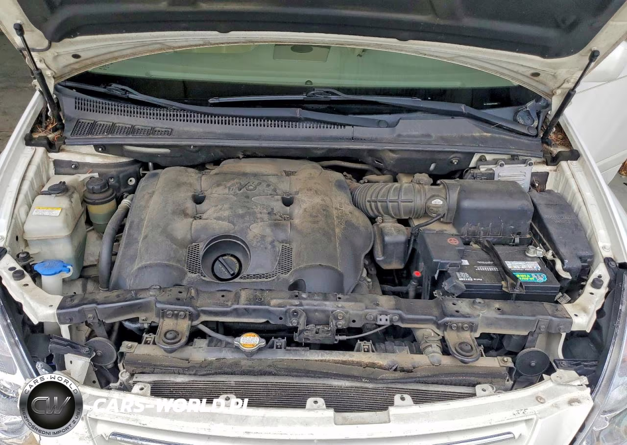 2008 Kia Sedona Lx VIN:KNDMB233686225805 - 12