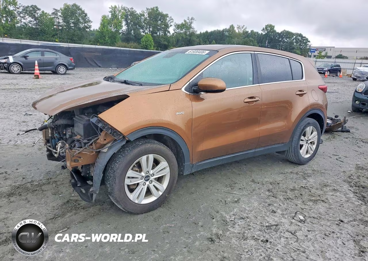 2019 Kia Sportage Lx VIN:KNDPMCAC4K7587861 - 1