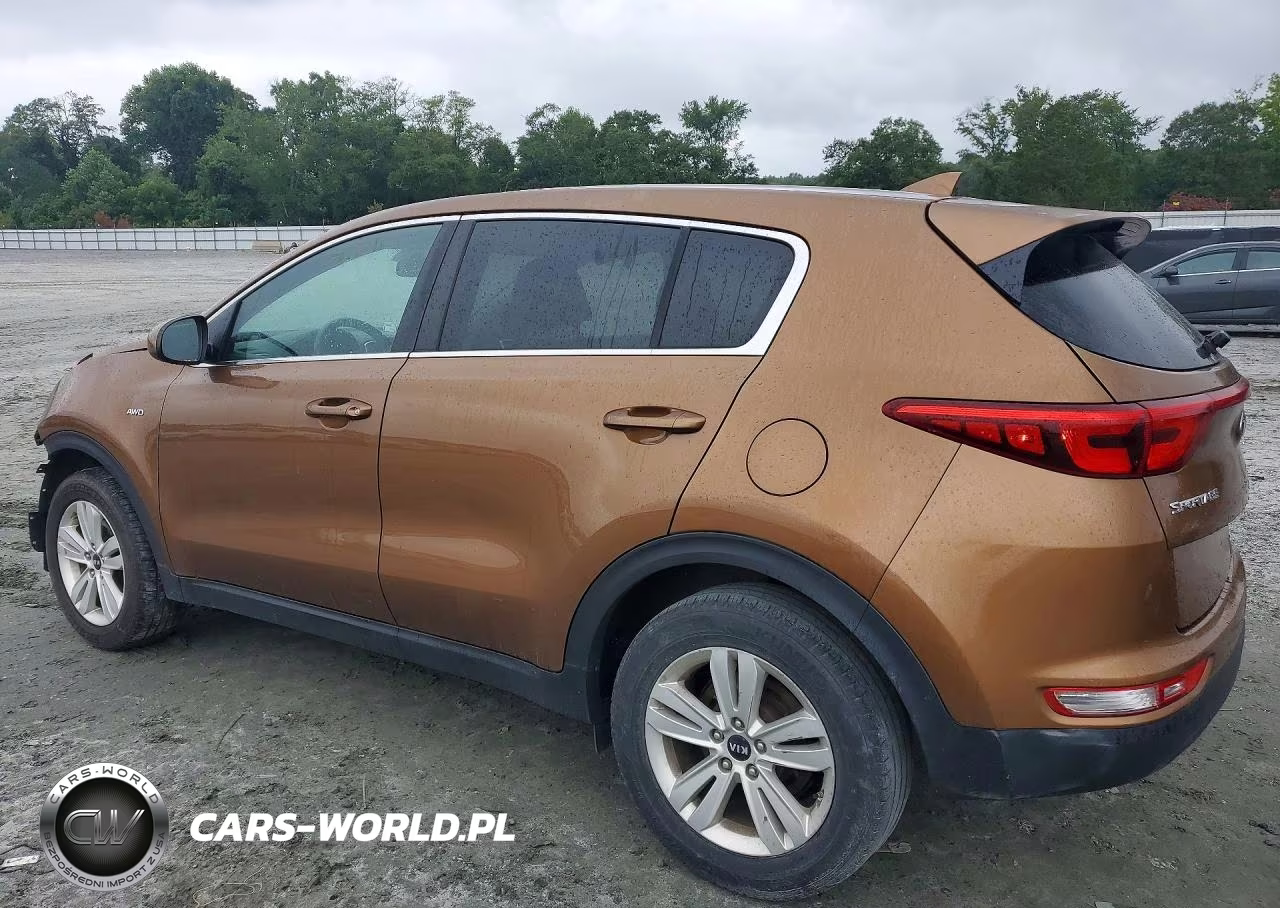 2019 Kia Sportage Lx VIN:KNDPMCAC4K7587861 - 2