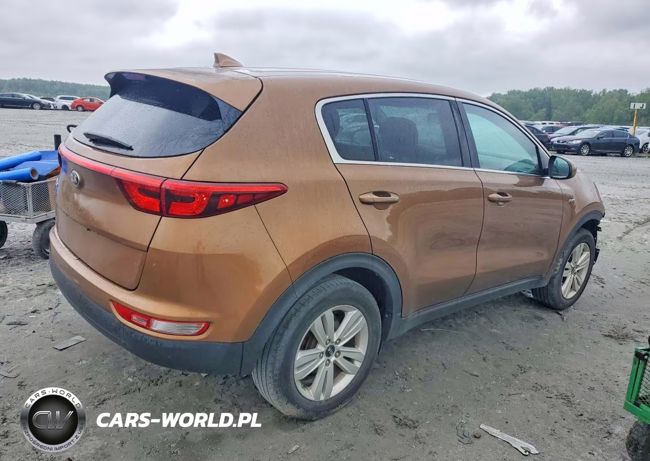 2019 Kia Sportage Lx VIN:KNDPMCAC4K7587861 - 3