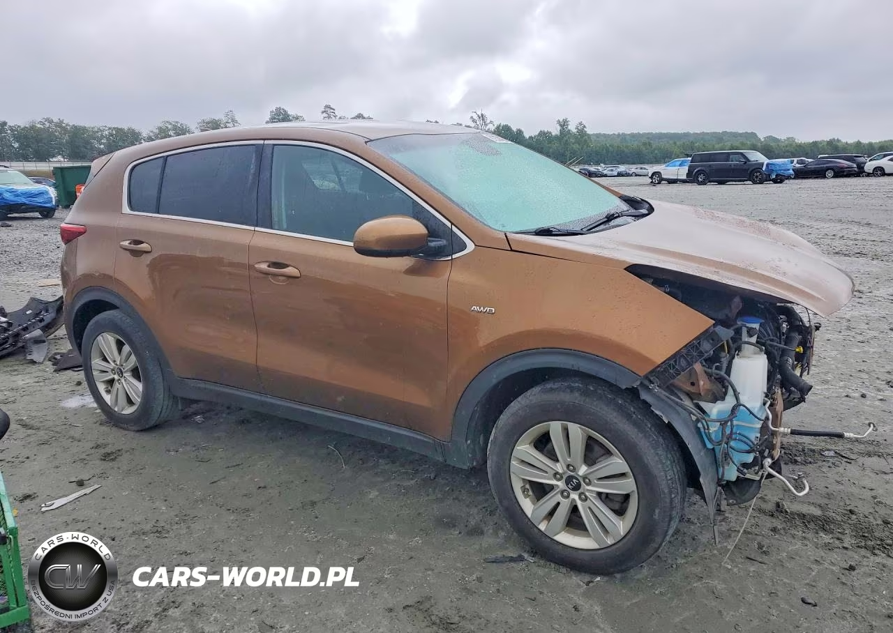 2019 Kia Sportage Lx VIN:KNDPMCAC4K7587861 - 4