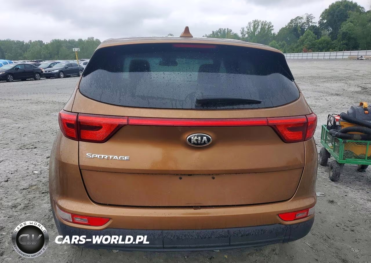 2019 Kia Sportage Lx VIN:KNDPMCAC4K7587861 - 6