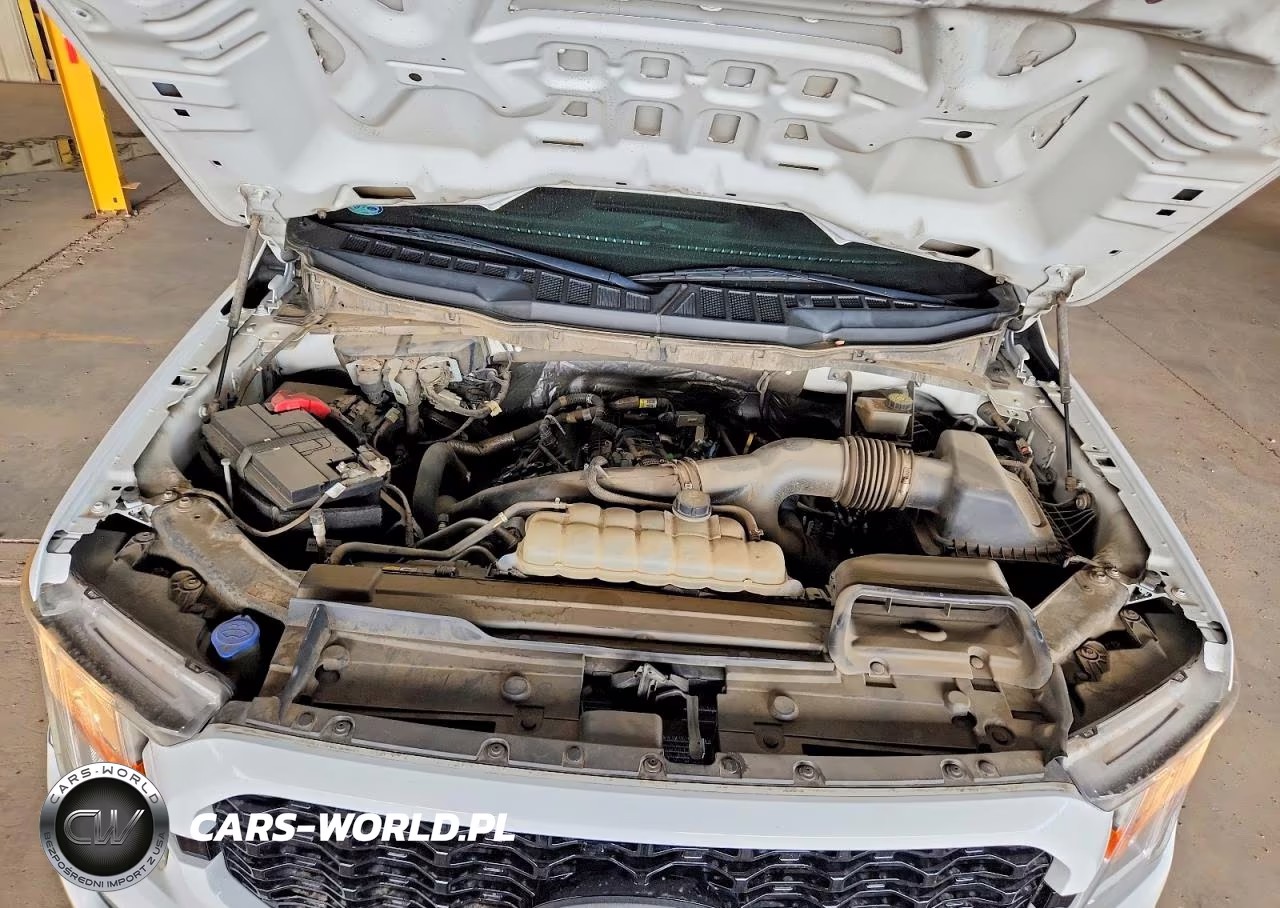 2021 Ford F150 Supercrew VIN:1FTEW1CP9MKD22911 - 11