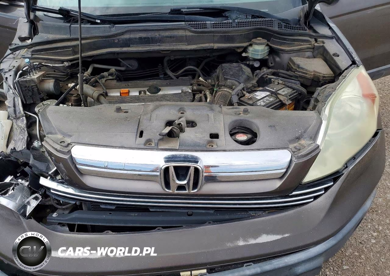 2009 Honda Cr-V Ex VIN:5J6RE38559L011446 - 11