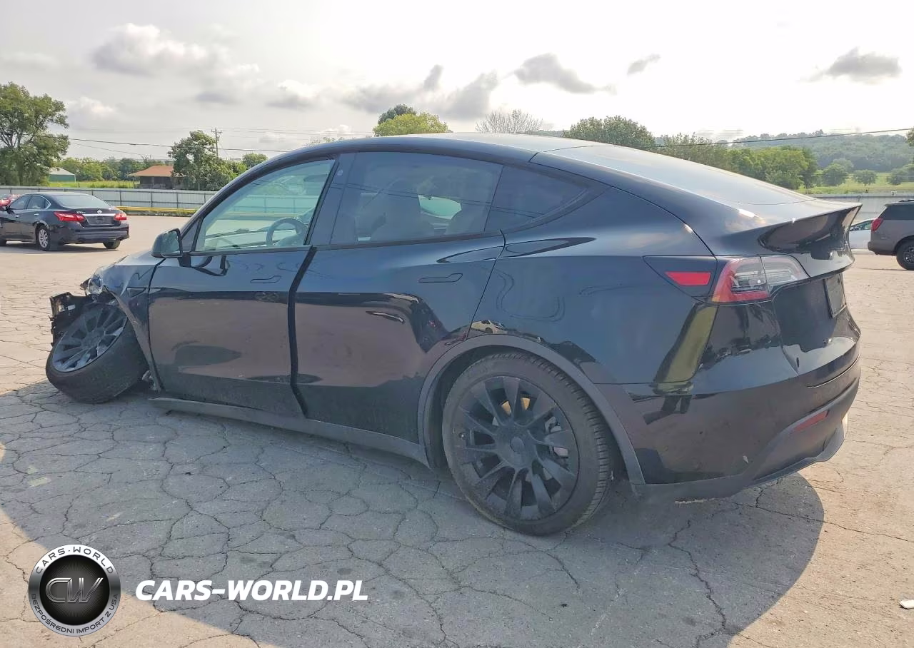 2020 Tesla Model Y VIN:5YJYGDEE8LF025843 - 2