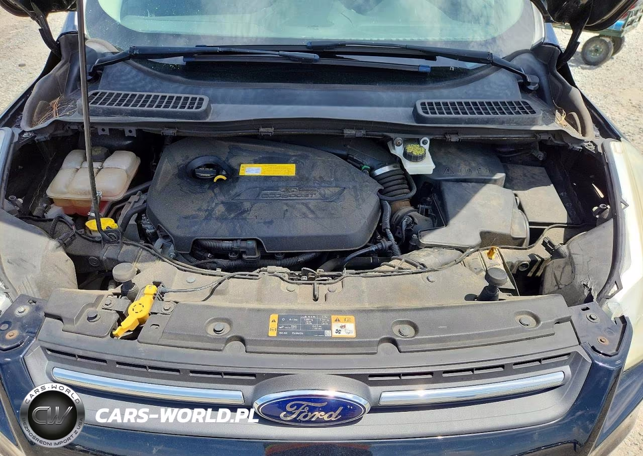 2016 Ford Escape Se VIN:1FMCU0GX8GUC65803 - 12