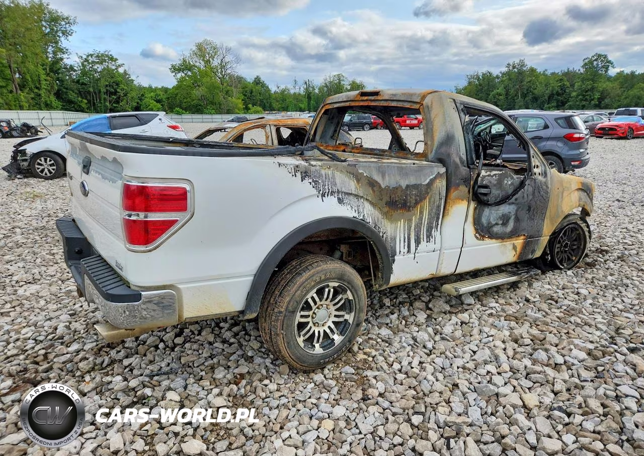 2009 Ford F150 VIN:1FTRF12W69KB58857 - 3