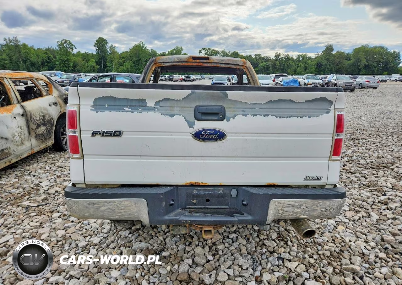 2009 Ford F150 VIN:1FTRF12W69KB58857 - 6