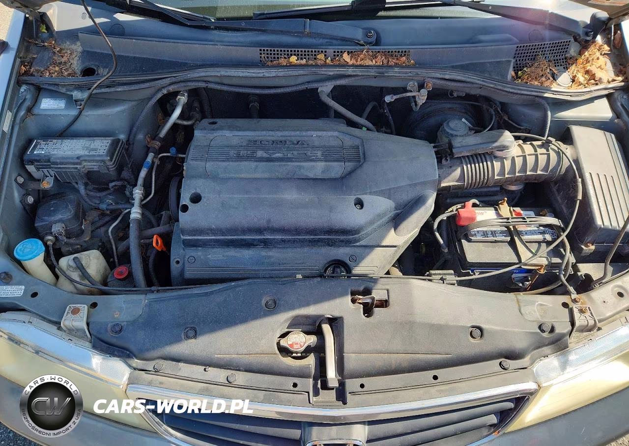 2002 Honda Odyssey Ex VIN:5FNRL186X2B000802 - 12
