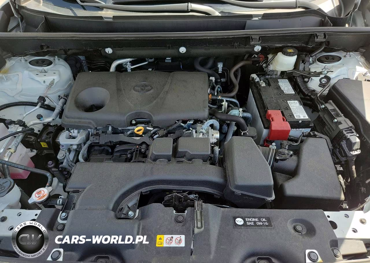 2025 Toyota Rav4 Xle Premium VIN:2T3C1RFV3SW394593 - 11