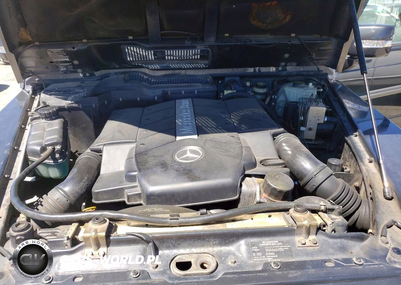 2002 Mercedes-Benz G 500 VIN:WDCYR49EX2X133934 - 11
