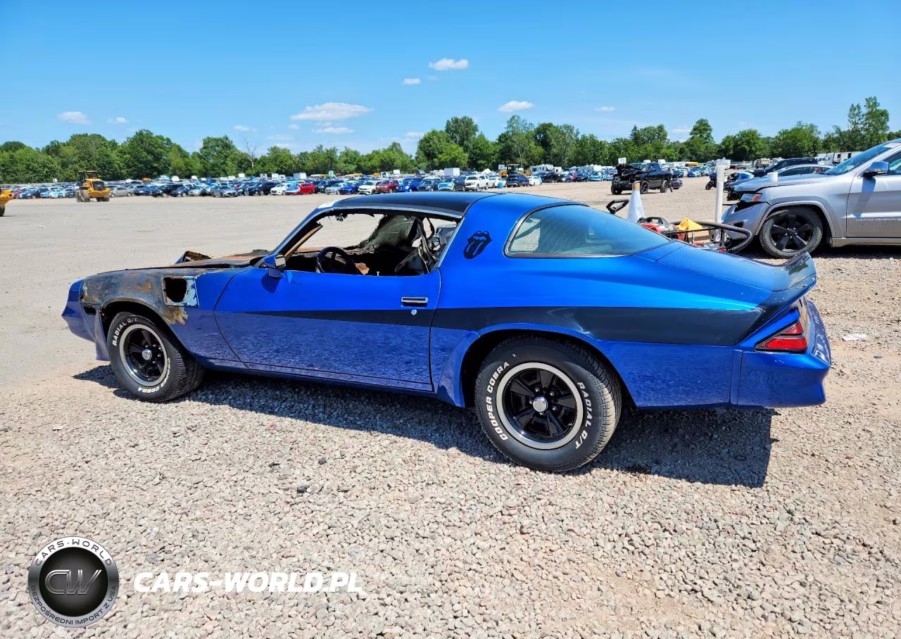 1981 Chevrolet Camaro VIN:1G1AP87L6BN107986 - 2