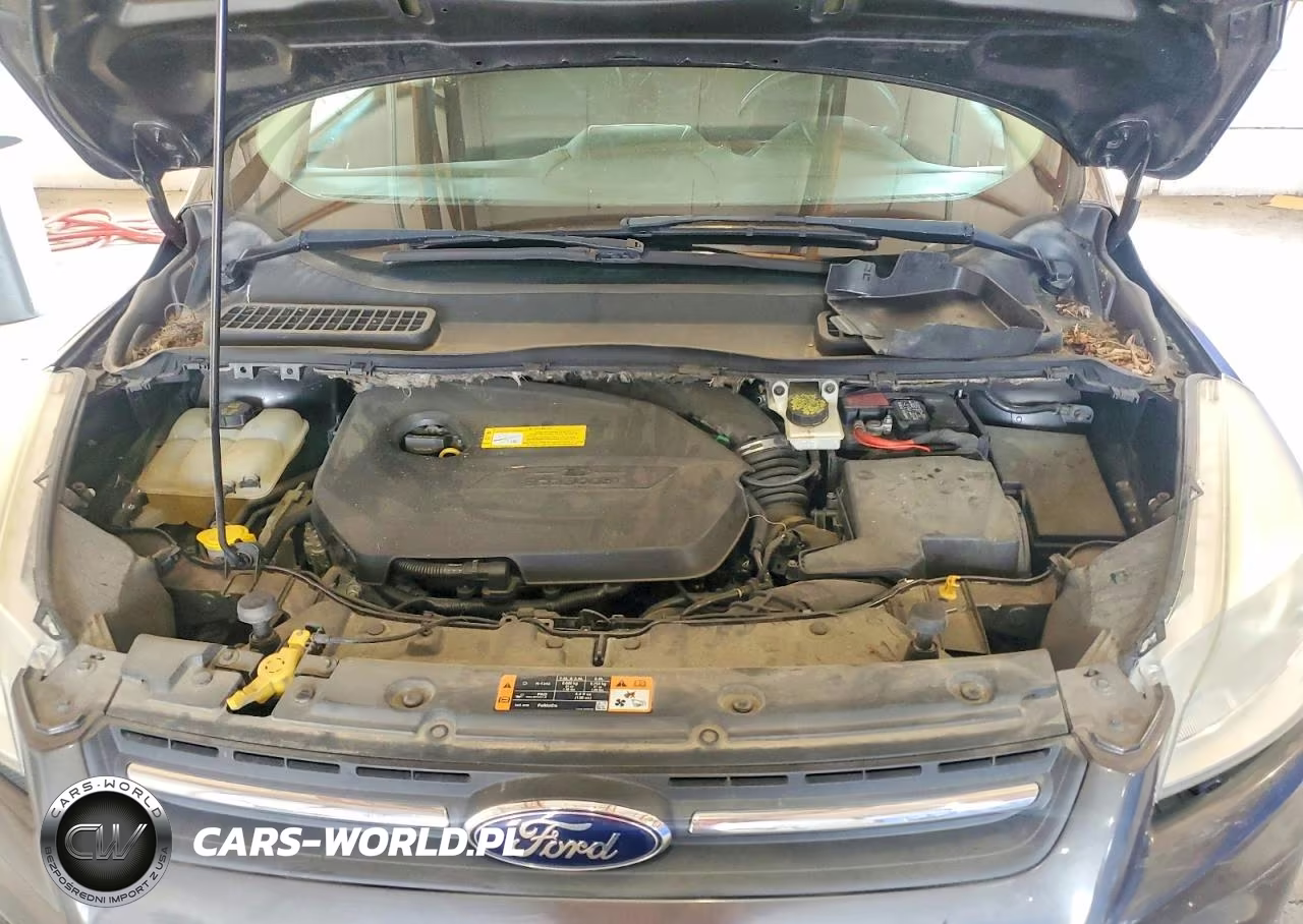 2015 Ford Escape Se VIN:1FMCU9GX9FUA90447 - 12