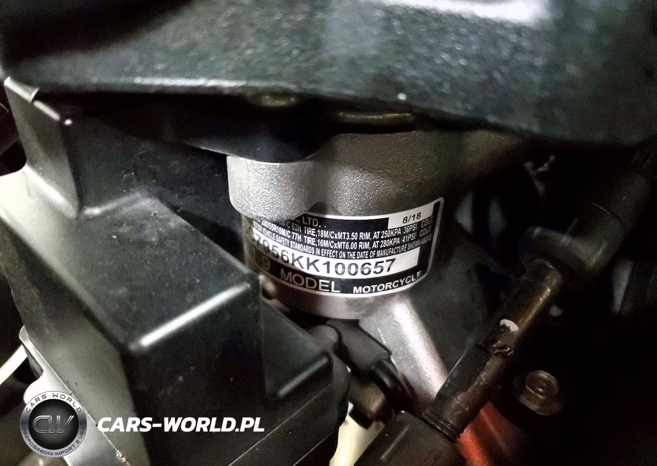 2019 Honda Gl1800 D VIN:JH2SC7956KK100657 - 10