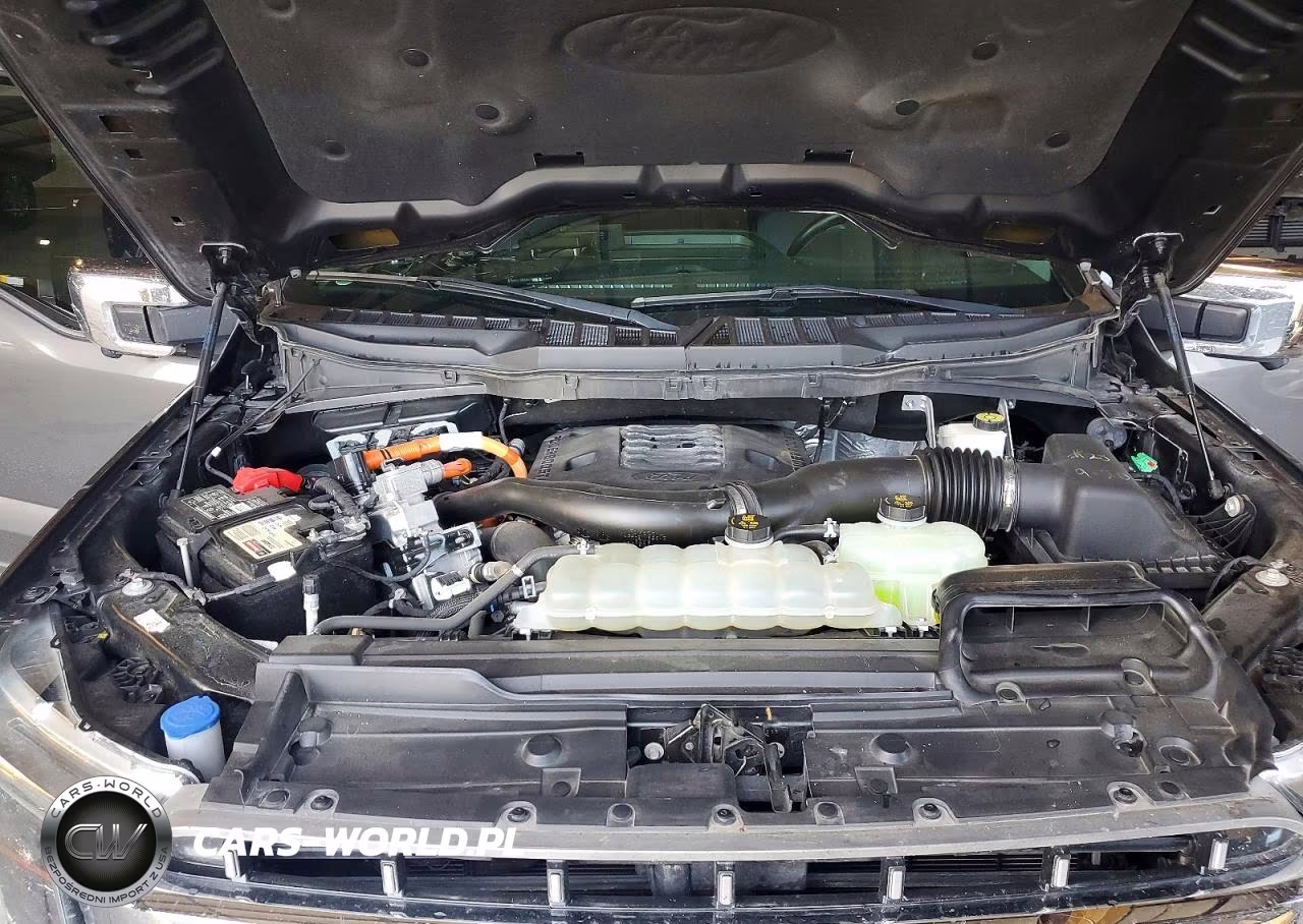 2021 Ford F150 Supercrew VIN:1FTFW1ED6MFC01656 - 11