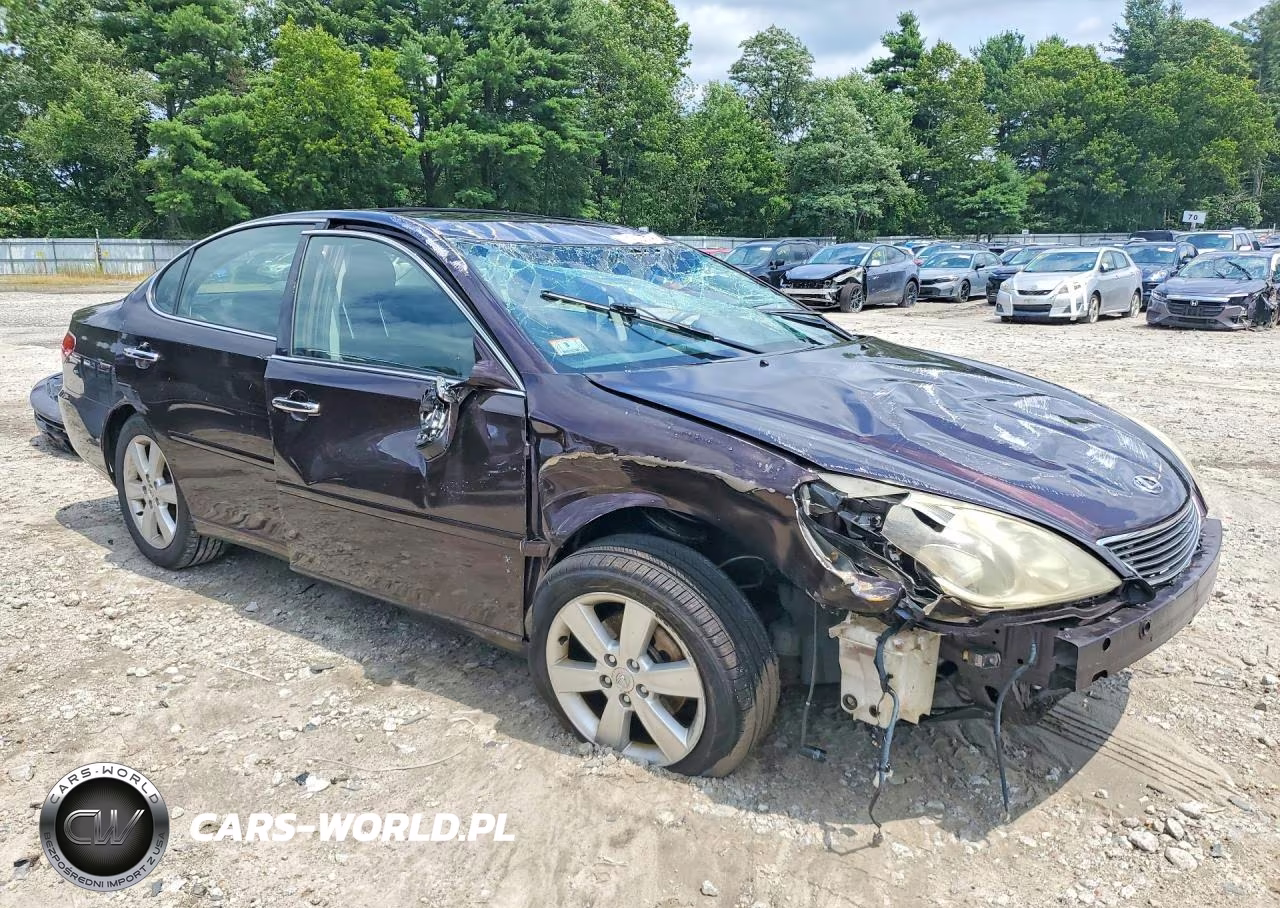 2005 Lexus Es 330 VIN:JTHBA30G855130007 - 4