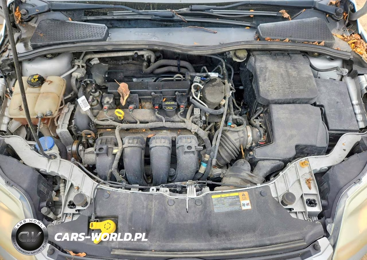 2014 Ford Focus Se VIN:1FADP3K28EL229440 - 11