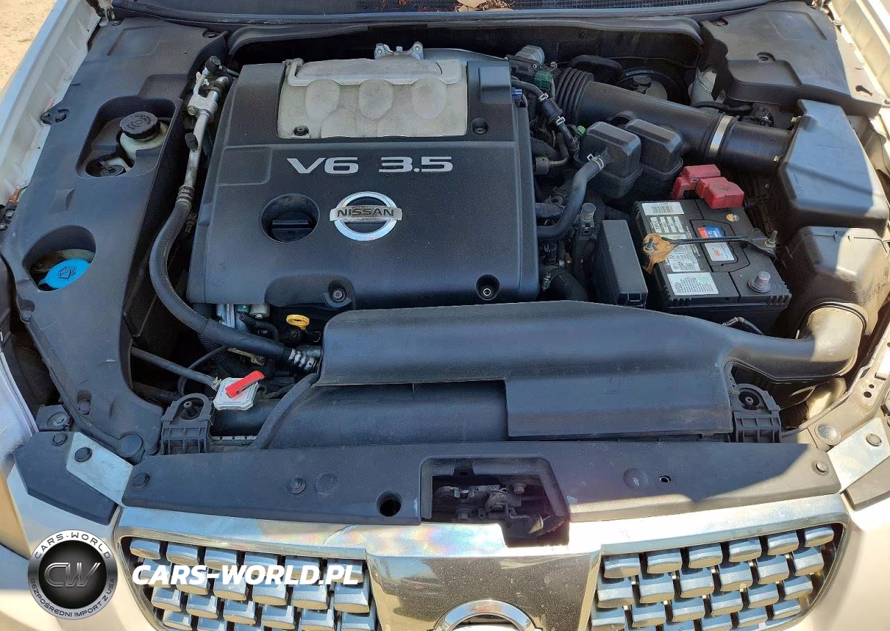 2004 Nissan Maxima 3.5 Se VIN:1N4BA41E44C819885 - 11