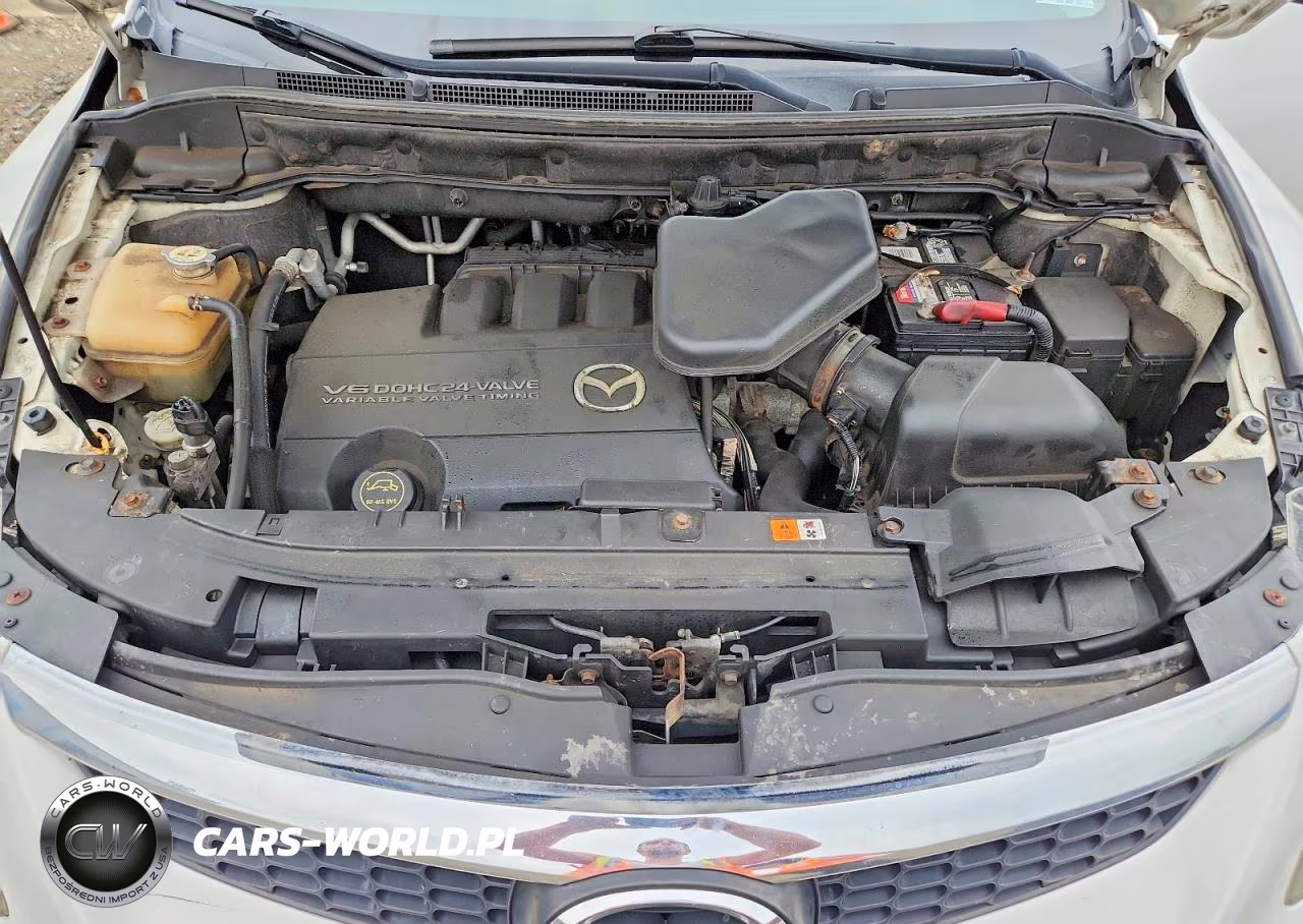 2009 Mazda Cx-9 VIN:JM3TB38VX90174980 - 12